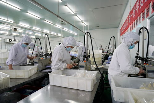 河北隆堯 百億食品產(chǎn)業(yè)激活區(qū)域發(fā)展動(dòng)能
