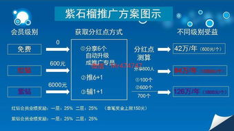 紫石榴應用商店是什么模式是連連看公司開發的嘛