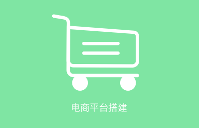 網(wǎng)站定制開發(fā)