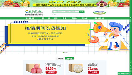 海南海口電商網站定制開發_電商平臺開發_商城網站建設_商城系統開發_中泰科技