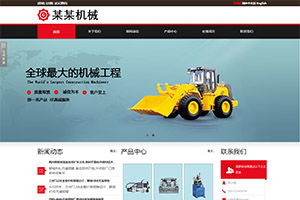 專業(yè)網(wǎng)站定制開(kāi)發(fā),企業(yè)公司官網(wǎng)設(shè)計(jì)制作
