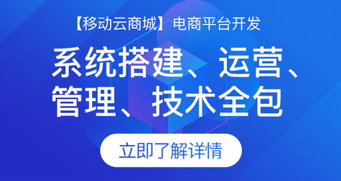 制作一個電商網(wǎng)站需要多少錢