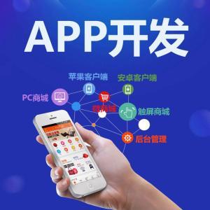 APP定制開發