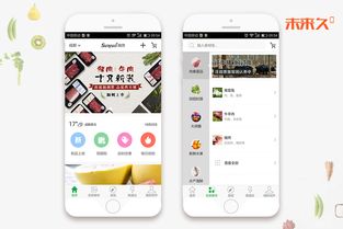 成都app定制開發(fā) o2o電商商城 生鮮水果鮮花社區(qū)超市