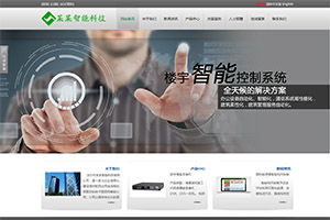 專業(yè)網(wǎng)站定制開發(fā),企業(yè)公司官網(wǎng)設(shè)計(jì)制作