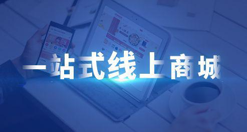 開發定制商城比較好的公司