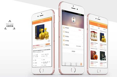 東莞服裝批發(fā)APP開發(fā)定制圖片_高清圖_細(xì)節(jié)圖-鯨東軟件 -